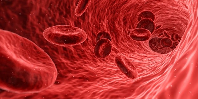 Complete Blood Count (CBC) Blood Test