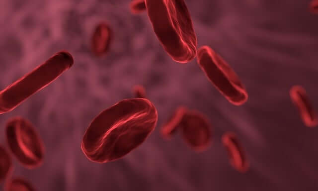 Hematocrit Test: A Comprehensive Guide